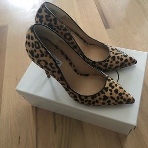 steve madden daisie pump leopard